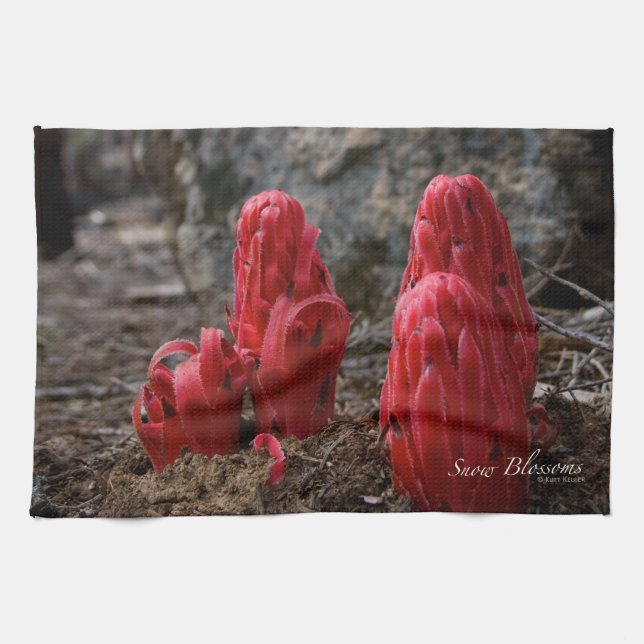 Blommarna snö kökshandduk (Horisontell)