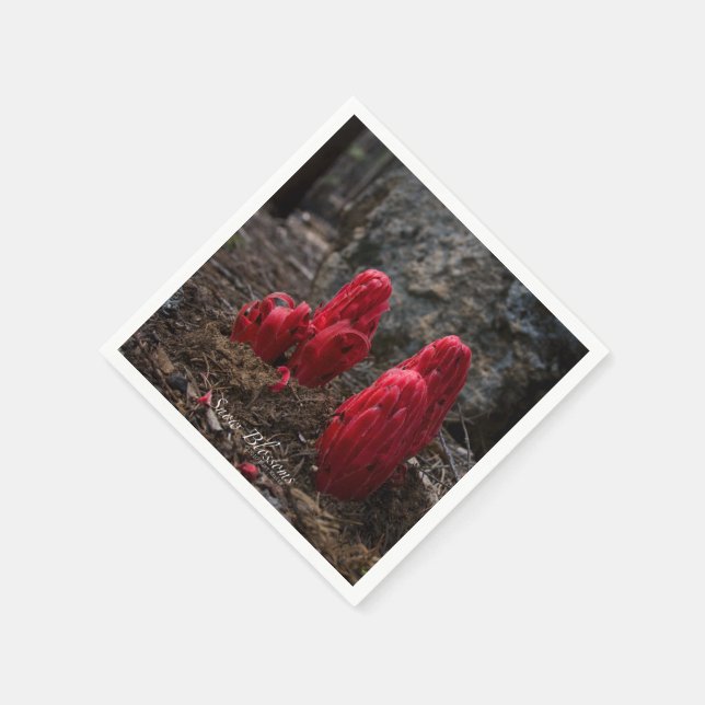 Blommarna snö pappersservett (Hörn)