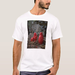 Blommarna snö t-shirt
