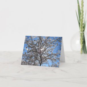 Blommarna Träd Notecard med blommande körsbärssyst Tack Kort