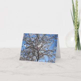 Blommarna Träd Notecard med blommande körsbärssyst Tack Kort