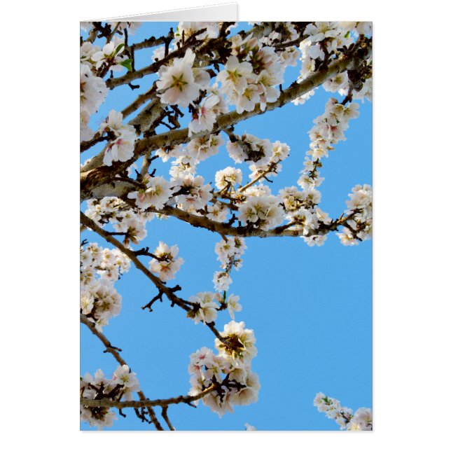 Blommarna vår Kärlek OBS Kort (Framsidan)