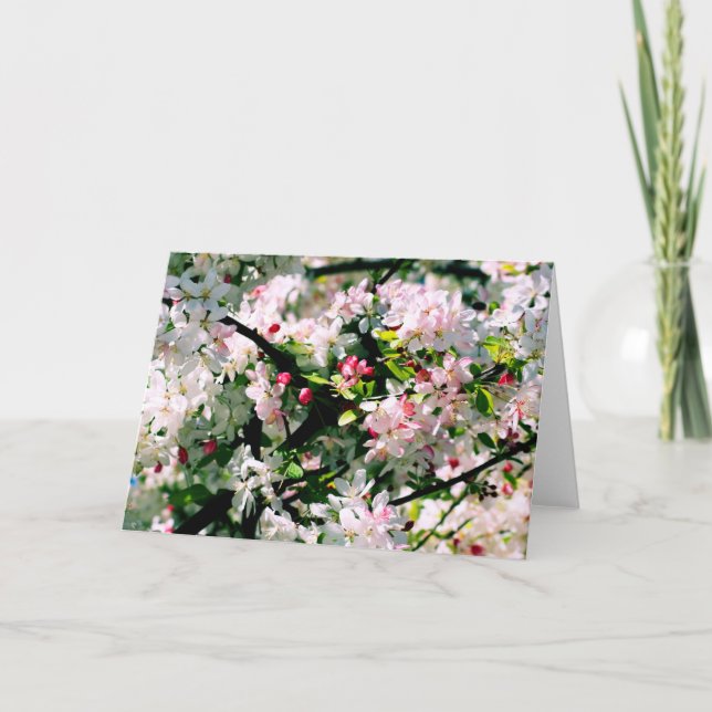 Blommarna vår kort (Framsida)