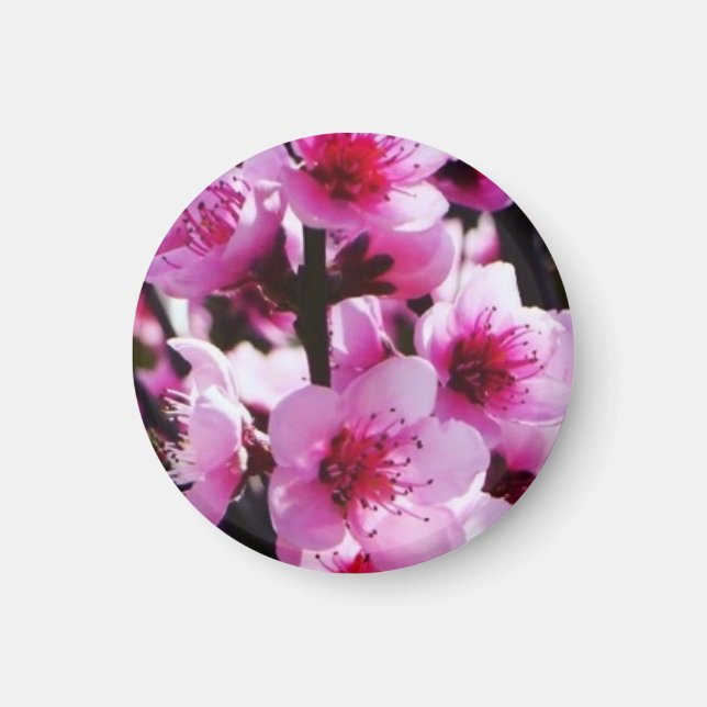 Blommarna vår magnet (Framsidan)