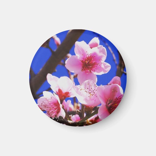 Blommarna vår magnet (Framsidan)