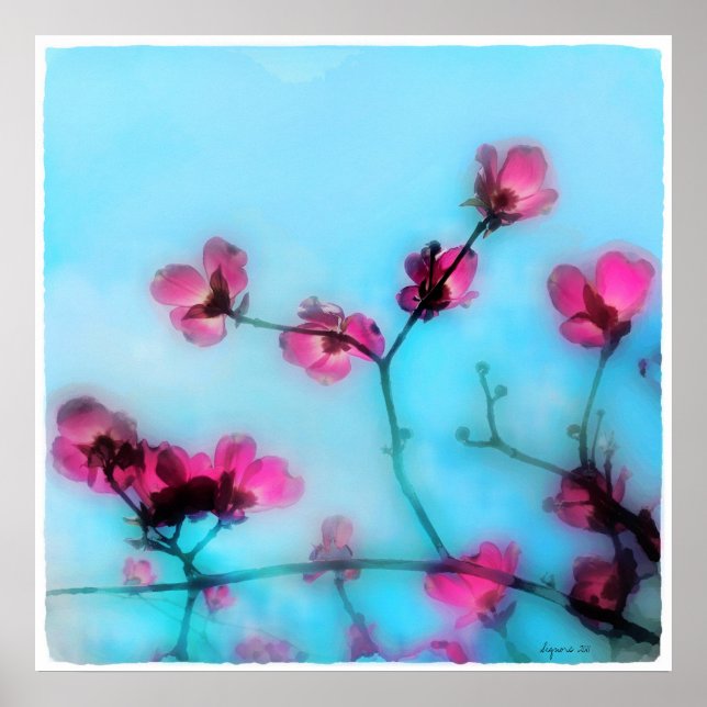 blommarna vår,poster poster (Framsidan)