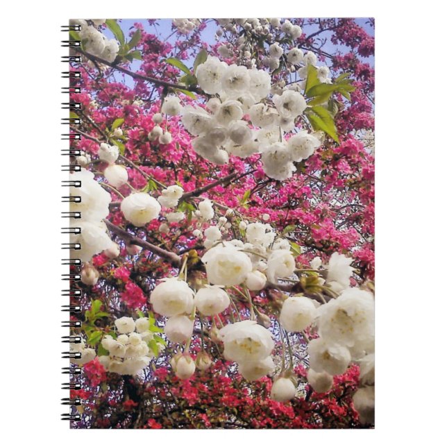 Blommarna Vita och rosa vår i Wales Anteckningsbok Med Spiral (Framsidan)
