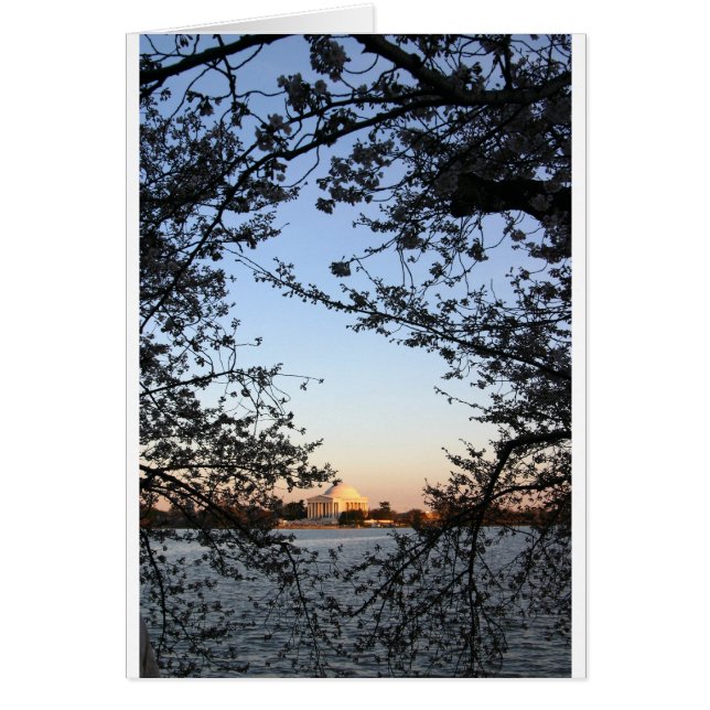 Blommarna Washington DC Cherry Hälsningskort (Framsidan)