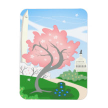 Blommarna Washington DC Cherry i Bloom