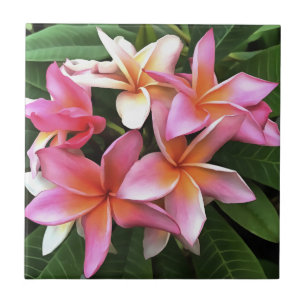 Blommarnas andedräkt Blek Rosa Frangipani Kakelplatta