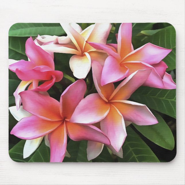 Blommarnas andedräkt Blek Rosa Frangipani Musmatta (Framsidan)