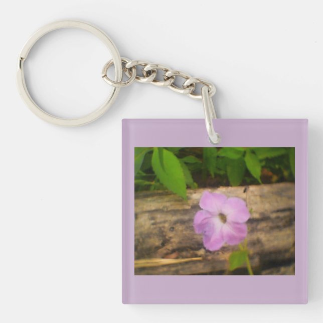 Blommarnas Lila (Framsidan)