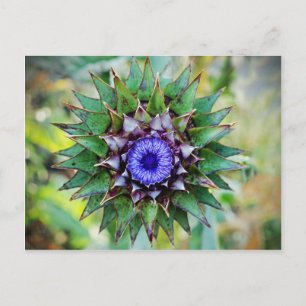 BlommarskottThistle Vykort