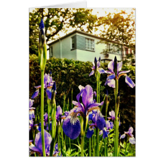 Blommas Irises framme av Greenbeltmuseet Hälsningskort