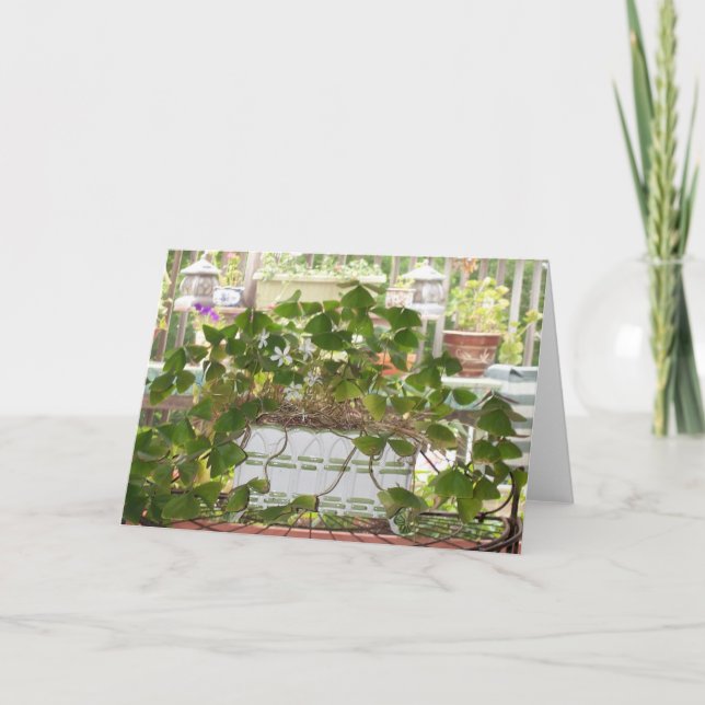 Blommas Shamrocks Kort (Framsida)