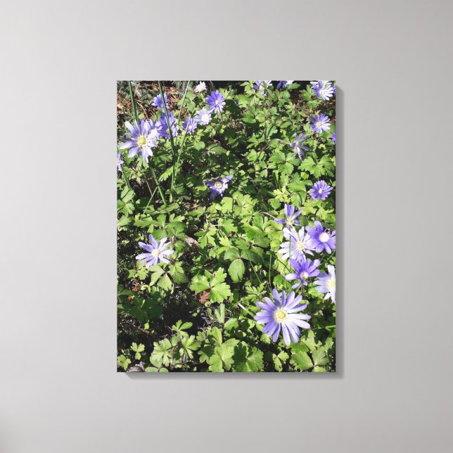 Blommassor Canvastryck (Framsida)