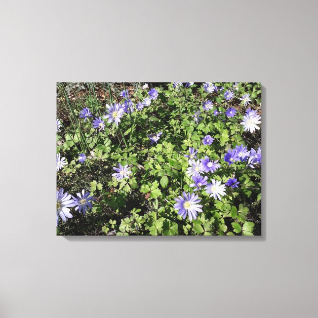 Blommassor Canvastryck (Framsida)