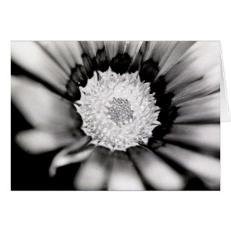 Blommastudie Hälsningskort