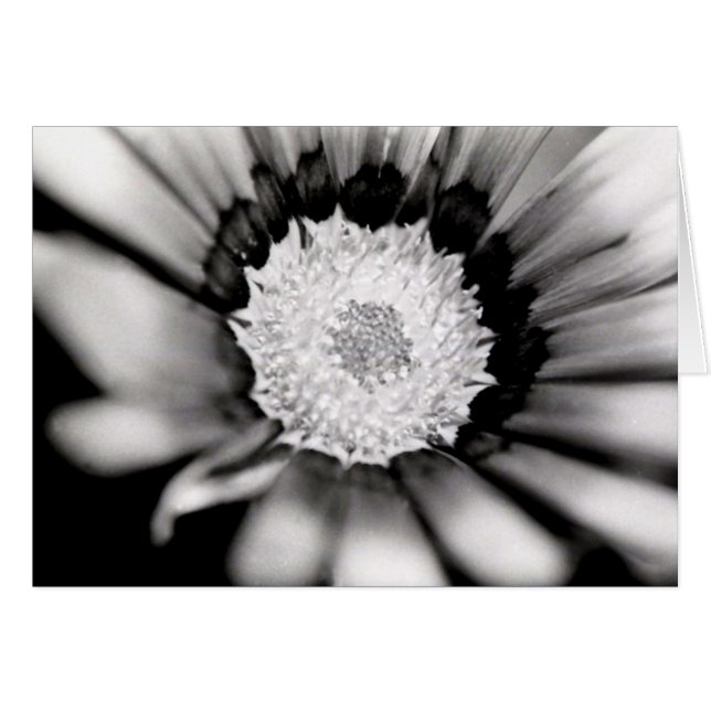 Blommastudie Hälsningskort (Framsidan Horizontal)