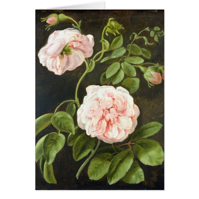 Blommastudie Hälsningskort (Framsidan)