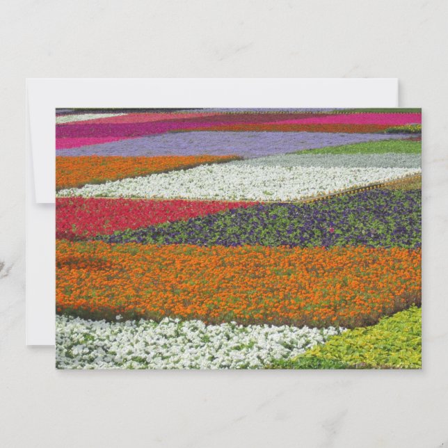 Blommatteppe Julkort (Framsida)