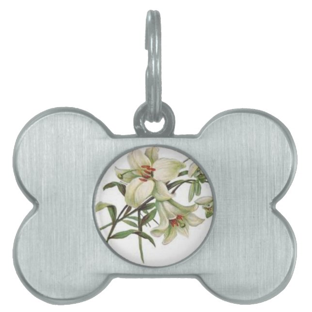 blommavintagevåren blomstrar vitliljan namnbricka husdjur (Framsidan)
