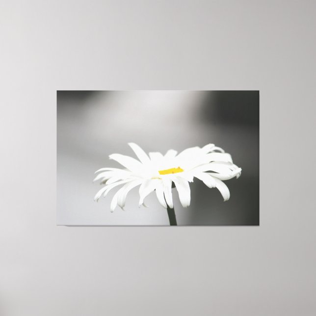 Blommblomma i vit Daisy Canvastryck (Framsida)