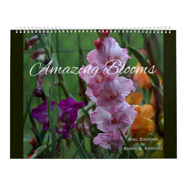 Blommblommor i Fantastisk Väggkalender Kalender (Omslag)