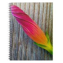 "Blommfoto