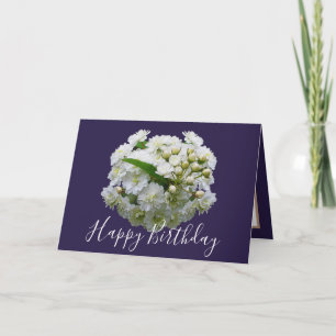 Blommig Chic Bukett Vit Spirea Blommor Födelsedag Kort