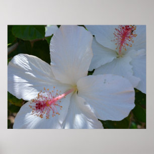 Blommig doftduk Canvastryck Poster