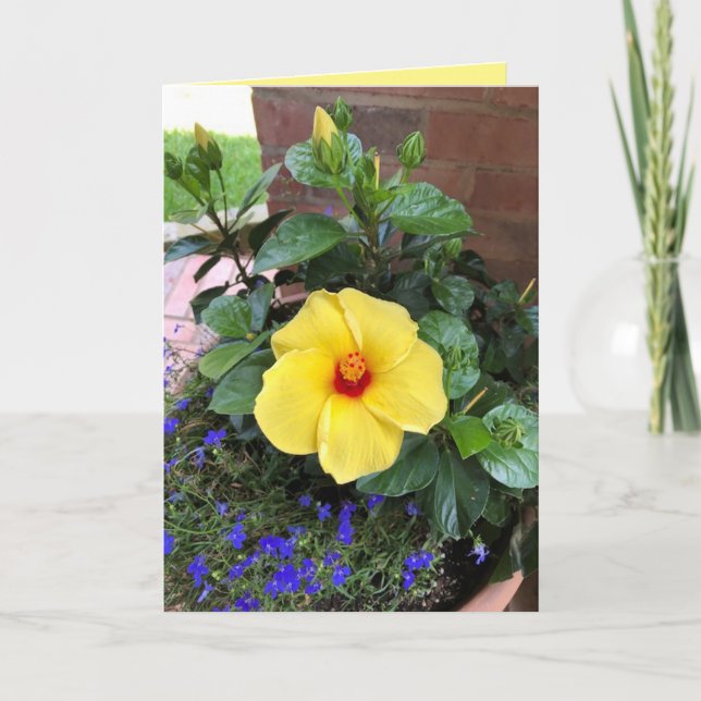 "Blommig Foto" Tom Kort (Framsida)