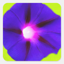 Blommig fyrkant