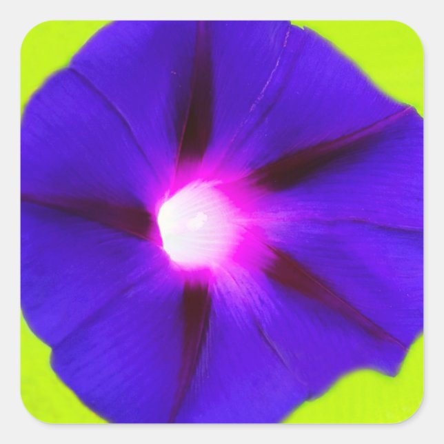 Blommig fyrkant  fyrkantigt klistermärke (Framsida)