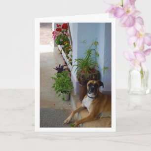 Blommig hundporträtt kort