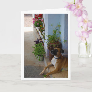 Blommig hundporträtt kort