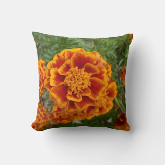 Blommig Kastkudde Med Bild Av Marigold Kudde