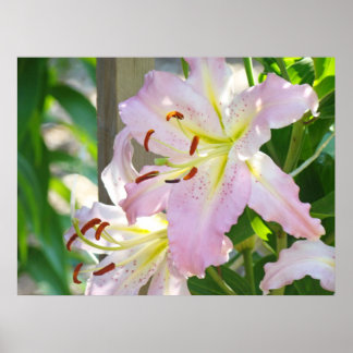 Blommig konsttryck anpassade Rosa Lilja Blommor Na Poster