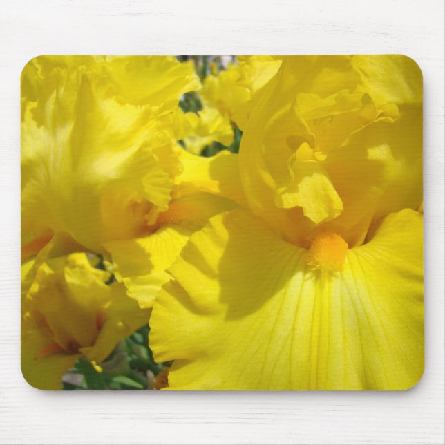 Blommig natur Botanisk trädgård Musmatta Iris (Framsidan)