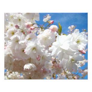 Blommig natur Fotografi tryck Blommande blommor