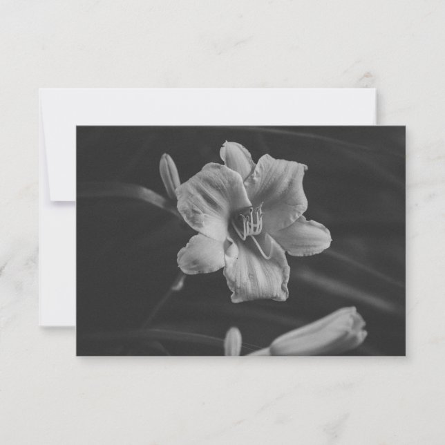Blommig Noir Spara Datumet (Framsida)