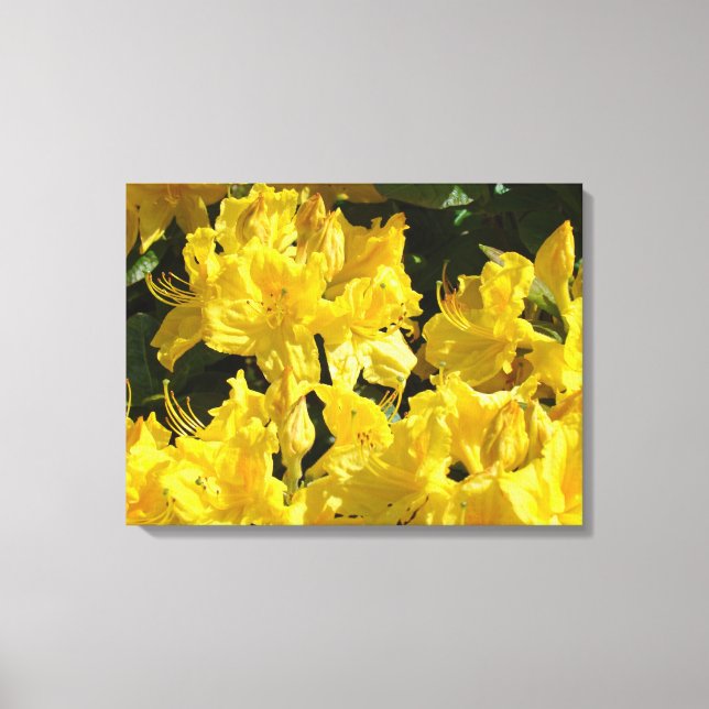 Blommig panelduktryck Gula Rhodies Blommor Canvastryck (Framsida)