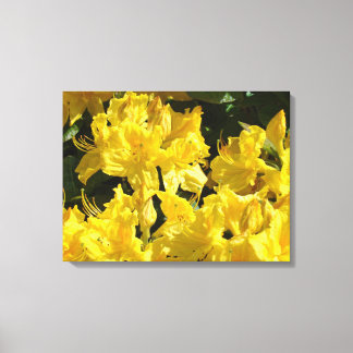 Blommig panelduktryck Gula Rhodies Blommor Canvastryck