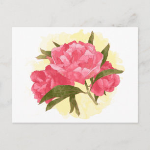 Blommig Pion Rosa Blommor Vintage Vattenfärg Vykort