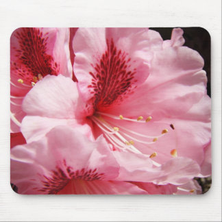 Blommig Rosa Rhodies-musmatta Underbara Mormors gå Musmatta