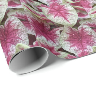 Blommig Rosa Växt Inpackningspapper Presentpapper