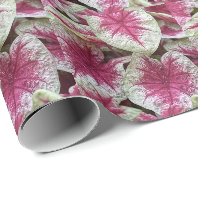 Blommig Rosa Växt Inpackningspapper Presentpapper (Rullad Hörn)