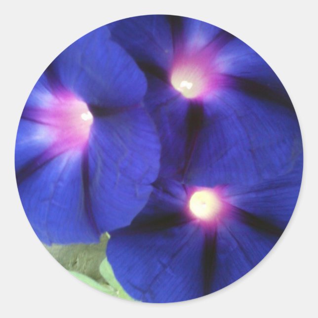 Blommig rund klistermärke (Framsida)