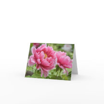 Blommiga rosa peonblommor Blank