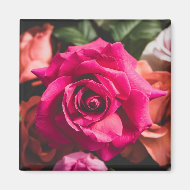 Blommiga Rosa Rosblommor Kronblad Magnet (Framsidan)